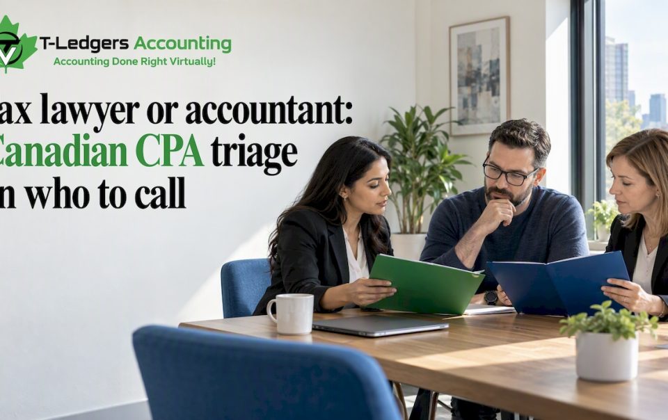 Business owner choosing between tax professionals
