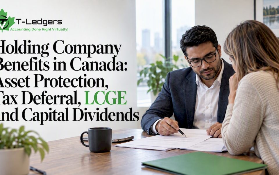 CPA and owner reviewing Holdco transfer documents