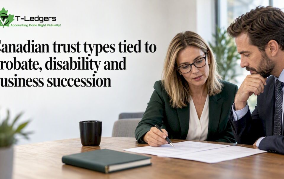 Advisors reviewing a Canadian trust plan
